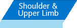 Shoulder & Upper Limb - Mark Sobel, MD. PC. - Orthopaedic Surgeon